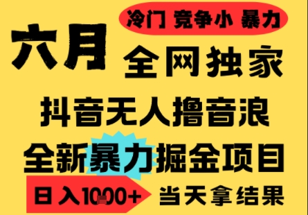 25年6月高爆抖音无人直播最新撸音浪掘金项目，小白可做，无脑日入1k+，门槛低可批量矩阵【揭秘】-网创前栈