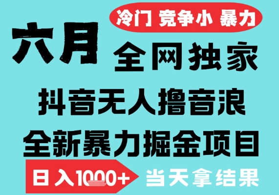 2025年6月高爆抖音无人直播最新撸音浪掘金项目，无脑日入1k+，低门槛小白可做，可矩阵放大【揭秘】-网创前栈