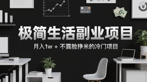 极简生活副业项目，月入1w+不露脸挣米的冷门项目-网创前栈