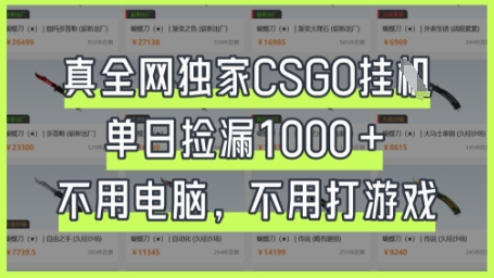 真全网独家CSGO挂G，单日捡漏1k+【揭秘】-网创前栈