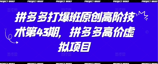 拼多多打爆班原创高阶技术第43期，拼多多高价虚拟项目-网创前栈