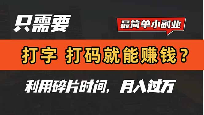 （14672期）只需要打字，打码，就能赚钱？简单的赚钱小副业，利用碎片时间，月入过万-网创前栈