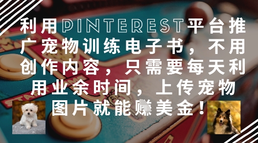 利用Pinterest平台推广宠物训练电子书，不用创作内容，只需要每天利用业余时间，上传宠物图片就能挣美金!-网创前栈