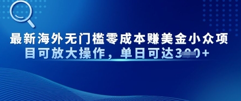 最新海外无门槛美金小众项目可放大操作，单日可达3张-网创前栈