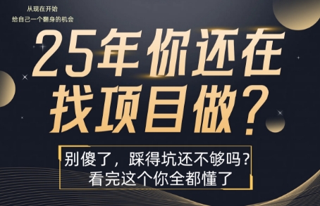 25年，你还在疯狂的找项目吗？别傻了，看完这个你都懂了【揭秘】-网创前栈