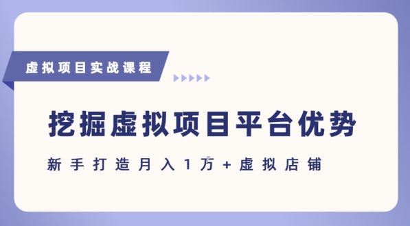 抓住虚拟项目各平台优势，新手轻松月入1W+(给出具体建议)-网创前栈