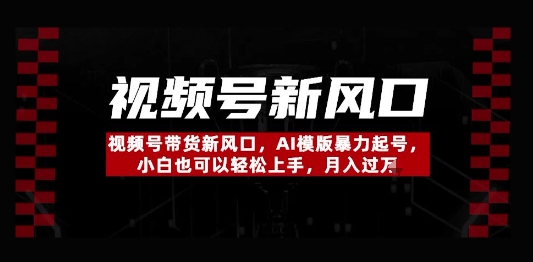 视频号带货新风口，AI模版暴力起号，小白也可以轻松上手，月入过W-网创前栈