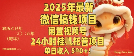 2025年最新微信搞钱项目，闲置视频号年24小时挂G托管项目，单日收入多张-网创前栈