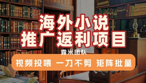 海外小说推广返利项目，视频投喂， 一刀不剪，矩阵批量-网创前栈
