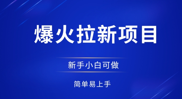 爆火拉新项目，有手就行，小白轻松入门，日入1张拉新整套流程-网创前栈