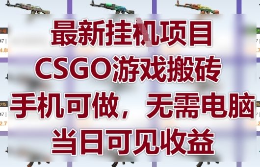 最新挂G项目，CSGO游戏搬砖，手机可做，无需电脑，当日见收益【揭秘】-网创前栈
