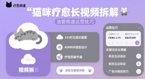 猫咪疗愈长视频拆解 &油管频道运营技巧-网创前栈