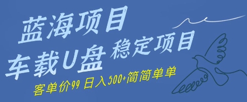 蓝海项目车载U盘稳定项目，挣的就是信息差，客单价99，日入几张简简单单-网创前栈