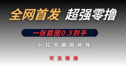 全网首发无限零撸捡钱项目，小红书一张截图0.5元可无限零撸-网创前栈