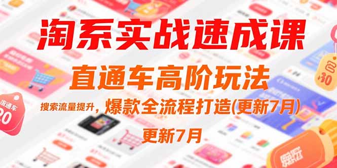 （15374期）淘系实战速成课，直通车高阶玩法，搜索流量提升，爆款全流程打造(更新7月)-网创前栈