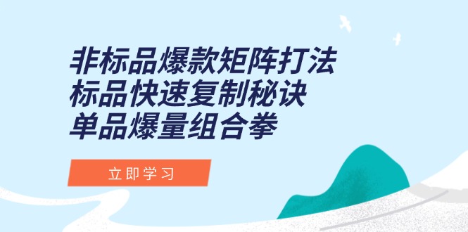 （15068期）非标品爆款矩阵打法，标品快速复制秘诀，单品爆量组合拳-网创前栈