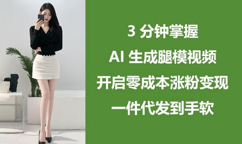 3分钟掌握AI生成腿模视频，开启零成本涨粉变现，一件代发到手软-网创前栈