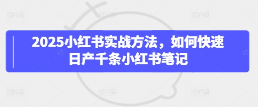 2025小红书实战方法，如何快速日产千条小红书笔记-网创前栈