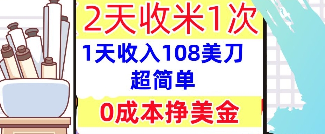 0成本挣美金，超简单，1天收入108刀，2天收米一次，实战教程，首次公开-网创前栈