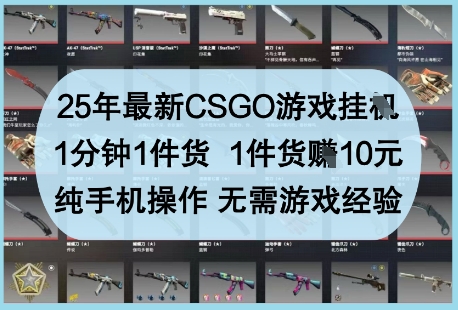 25年最新CSGO游戏挂G，1分钟1件货，1件货挣10元，纯手机操作，无需游戏经验【揭秘】-网创前栈