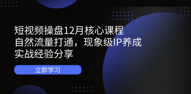 （14447期）短视频操盘12月核心课程：自然流量打通，现象级IP养成，实战经验分享-网创前栈