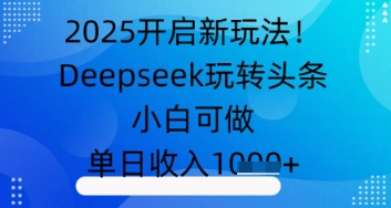 2025开启新玩法！Deepseek玩转头条，小白可做，单日收入几张-网创前栈